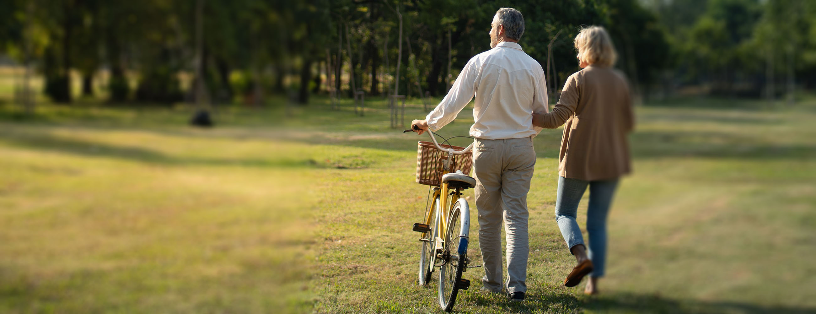 Skillnaden mellan testamente och äktenskapsförord | Dokument24